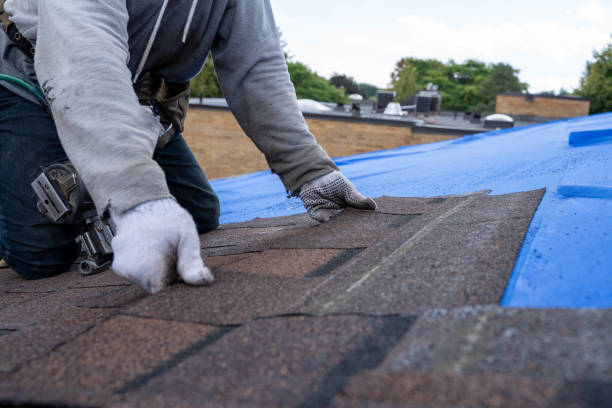 Best Storm Damage Roof Repair  in Lightstreet, PA